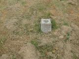 image of grave number 931399